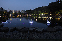 徳川園に咲く　浮灯篭