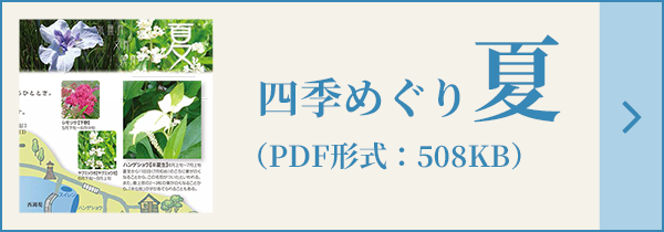 四季めぐり夏（PDF形式：508KB）