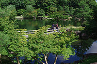 徳川園に咲く　龍仙湖