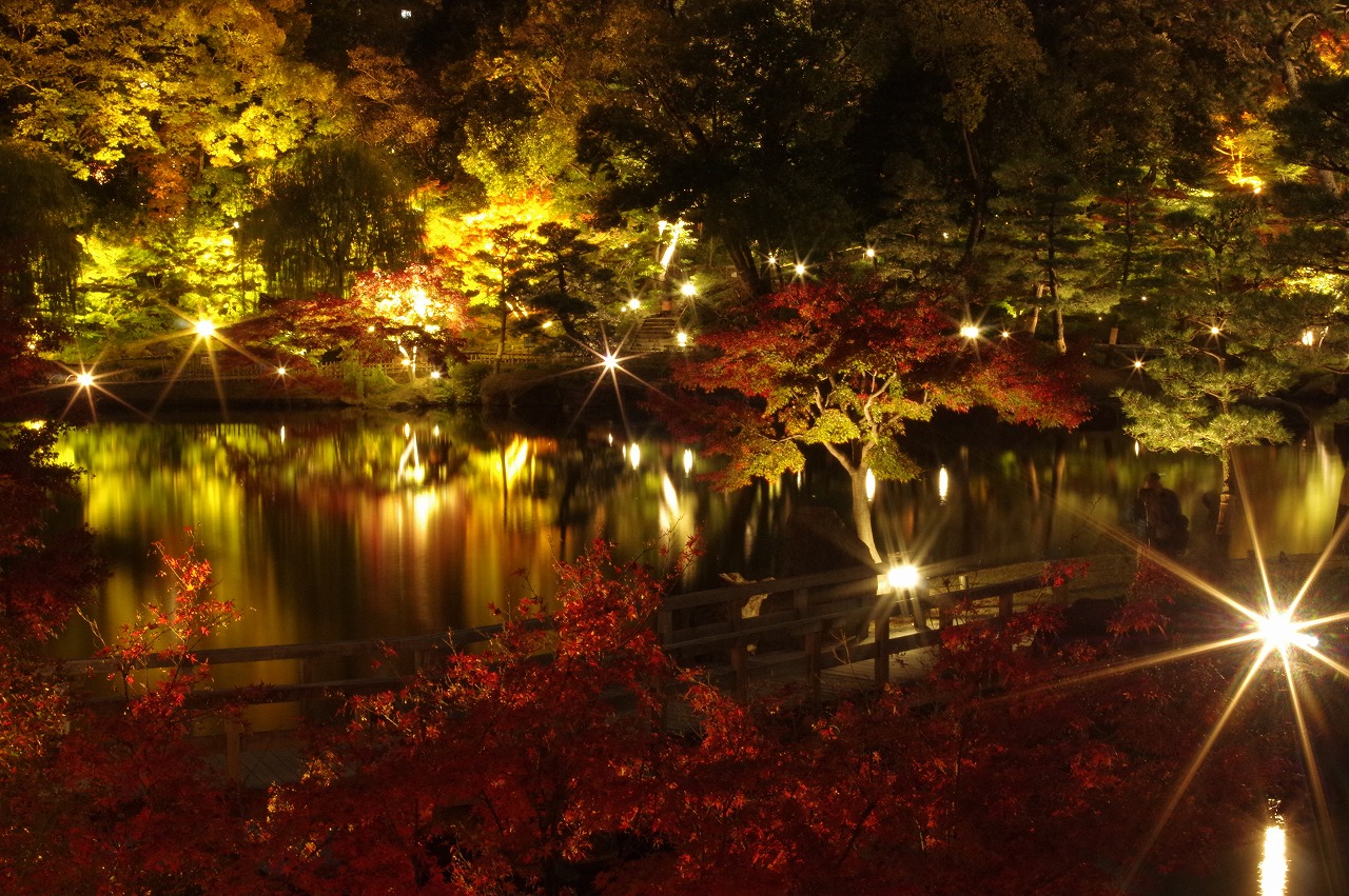 徳川園に咲く　夜間開園の様子 (1)