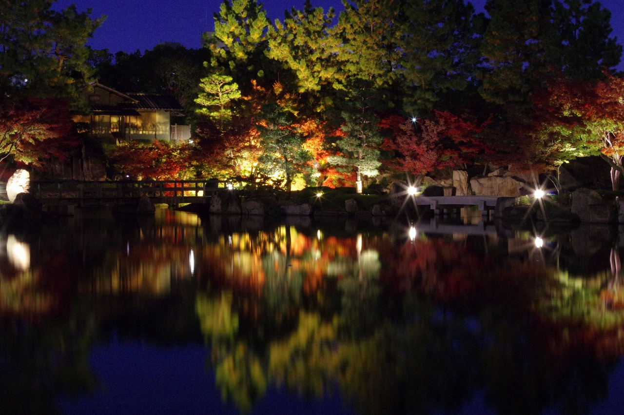徳川園に咲く　夜間開園の様子 (3)