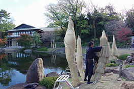 徳川園に咲く　11月29日蘇鉄の菰巻き開始