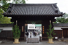 徳川園に咲く　黒門松飾りは1月13日まで
