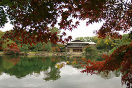 徳川園に咲く　11月28日紅葉の様子