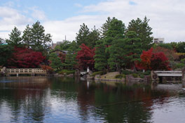 徳川園に咲く　11月30日の様子