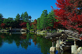 徳川園に咲く　11月下旬の様子