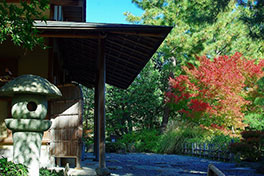 徳川園に咲く　11月下旬の様子