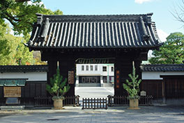 徳川園に咲く 松飾りは1月12日まで展示